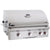 American Outdoor Grill T-Series 30-Inch 3-Burner Built-In Natural Gas Grill With Rotisserie AOG 30NBT - BBQHangout