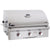American Outdoor Grill T-Series 30-Inch 3-Burner Built-In Natural Gas Grill AOG 30NBT-00SP - BBQHangout