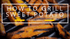 f_article.image.alt