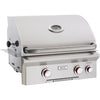 American Outdoor Grill T-Series 24-Inch 2-Burner Built-In Natural Gas Grill With Rotisserie AOG 24NBT - BBQHangout