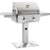 American Outdoor Grill T-Series 24-Inch 2-Burner Freestanding Natural Gas Grill On Pedestal AOG 24NPT-00SP - BBQHangout