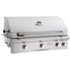 American Outdoor Grill T-Series 36-Inch 3-Burner Built-In Natural Gas Grill With Rotisserie AOG 36NBT